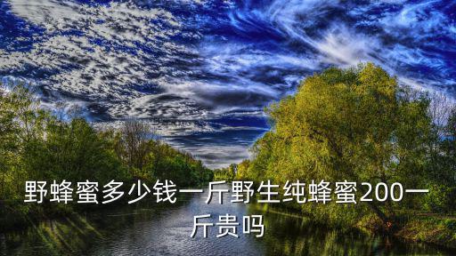 野蜂蜜多少錢一斤野生純蜂蜜200一斤貴嗎