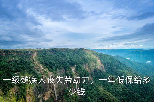 汕尾一級殘疾補貼一年多少錢,一年低保給多少錢