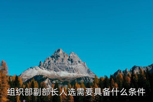 組織部副部長人選需要具備什么條件
