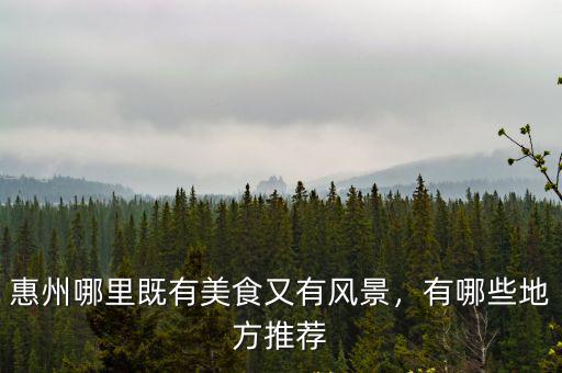 惠州哪里有賣培坤丸,有哪些地方推薦