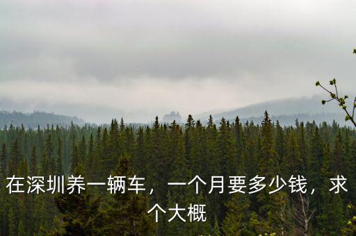 商丘到深圳開車要多少錢一個月,一個月要多少錢