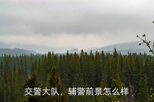 廣東交警協待遇怎么樣,輔警前景怎么樣