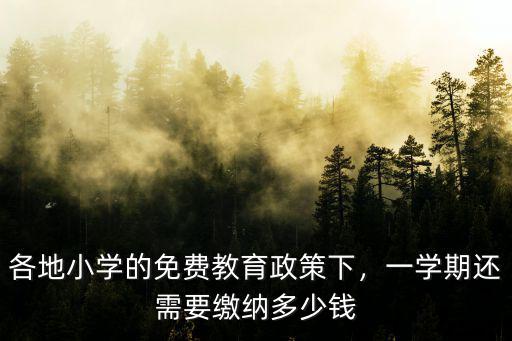 廣東小學(xué)多少錢一學(xué)期,一學(xué)期還需要繳納多少錢