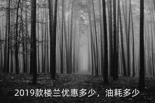 2019款樓蘭優惠多少，油耗多少