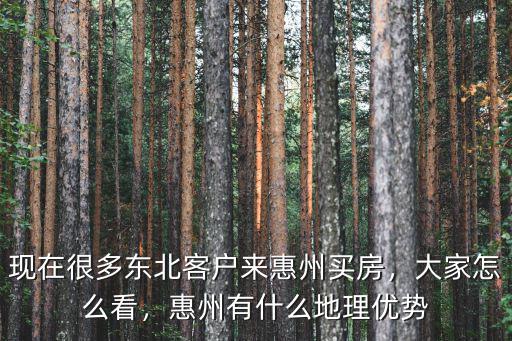 現在很多東北客戶來惠州買房，大家怎么看，惠州有什么地理優勢