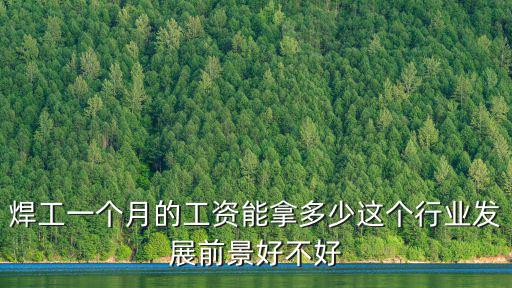 焊工一個月的工資能拿多少這個行業發展前景好不好