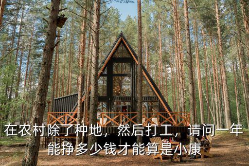 在農村除了種地，然后打工，請問一年能掙多少錢才能算是小康
