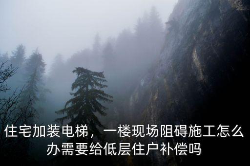 廣州白云區阻撓加裝電梯怎么處理,住宅加裝電梯