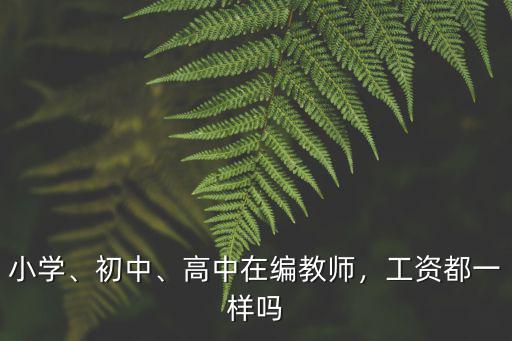 小學、初中、高中在編教師，工資都一樣嗎
