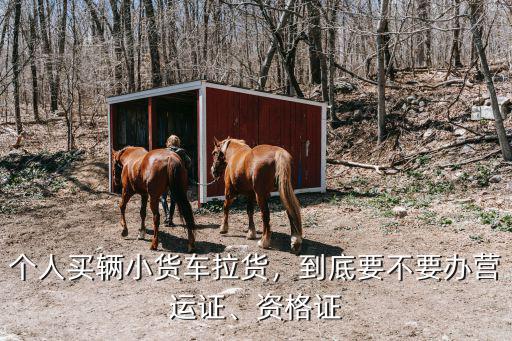 深圳怎么辦小貨車營運證,個人買輛小貨車拉貨