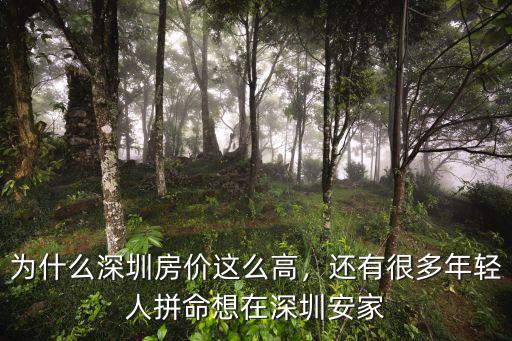 深圳還有多少人想買房,你們在深圳買房了嗎