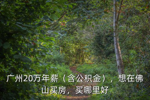 廣州20萬年薪（含公積金），想在佛山買房，買哪里好