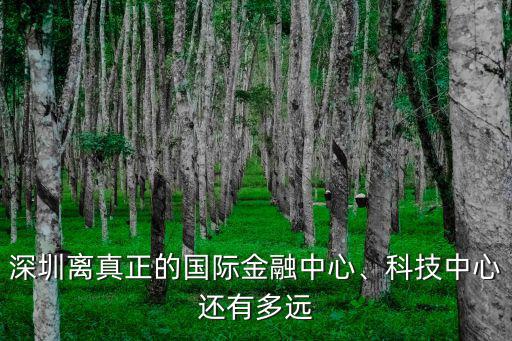 深圳國家科技創新城在哪里,深圳坪山新區的未來在哪里