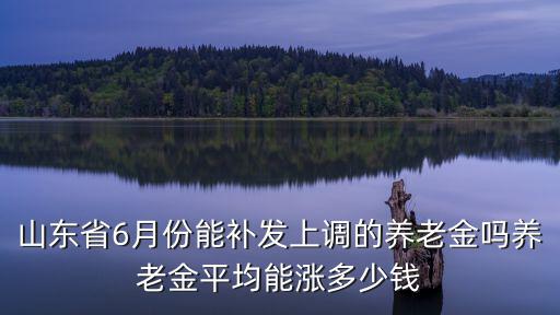 今年山東養(yǎng)老金補發(fā)多少,養(yǎng)老金平均能漲多少錢