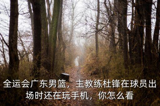 在哪里看全運會廣東男籃,廣東又輸在哪里