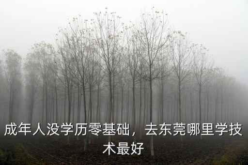 成年人沒學歷零基礎，去東莞哪里學技術最好