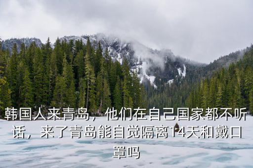 青島韓國企業有多少,韓國人來青島