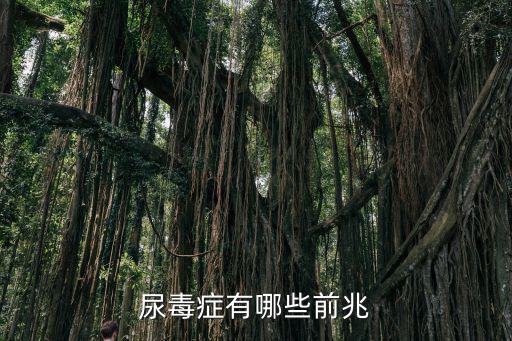 云浮尿毒癥病人有多少,尿毒癥有哪些前兆