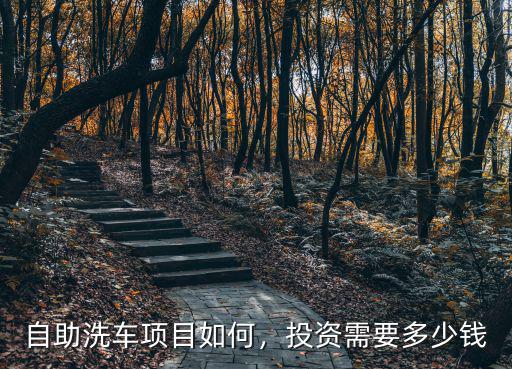 自助洗車項(xiàng)目如何，投資需要多少錢