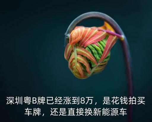 深圳車牌更換多少費用,深圳車牌過戶值多少錢