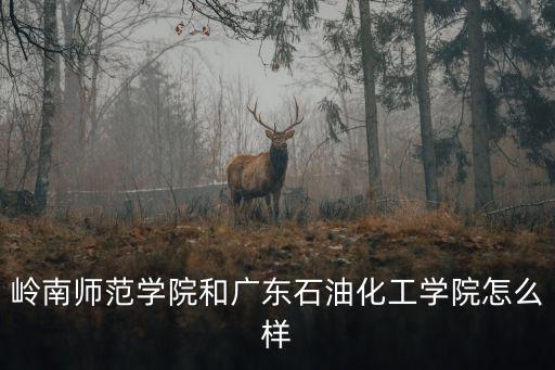 嶺南師范學院和廣東石油化工學院怎么樣