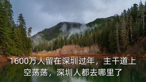 1600萬人留在深圳過年，主干道上空蕩蕩，深圳人都去哪里了