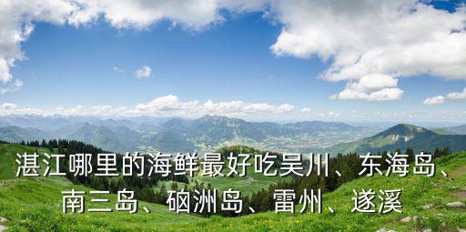 湛江遂溪海鮮哪里好吃,湛江哪家海鮮大排檔比較好吃