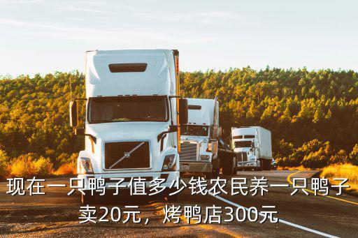 寧波老鴨多少一只,農民養一只鴨子賣20元