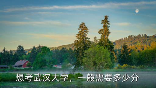 山東省考武漢大學分數線是多少,想考武漢大學