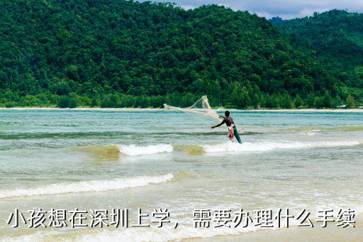 外省子女怎么在深圳上學,在外省學籍參加高考