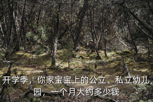 濟寧億家幼兒園學費多少,濟寧的幼兒園怎么樣