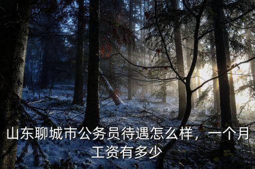 山東聊城市公務員待遇怎么樣，一個月工資有多少