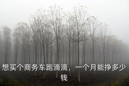 佛山跑滴滴一個月能跑多少錢,一個月能掙多少錢