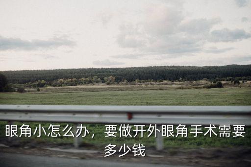 杭州做開眼角的手術多少錢,要做開外眼角手術需要多少錢
