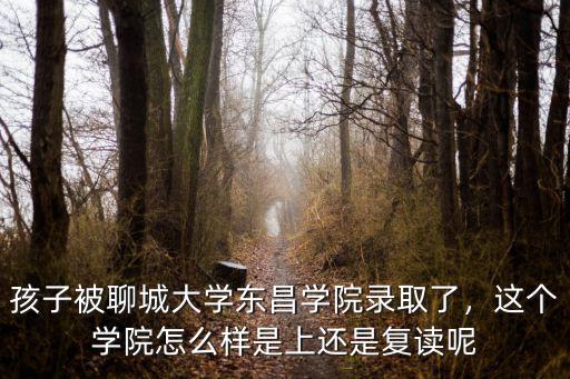 聊城大學(xué)東昌學(xué)院在校多少人,聊城大學(xué)東昌學(xué)院