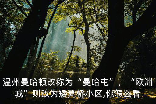 溫州曼哈頓房價多少,溫州哪里的房子最好