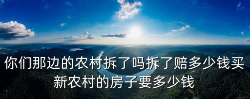 山東農村買房子院子多少錢,買新農村的房子要多少錢