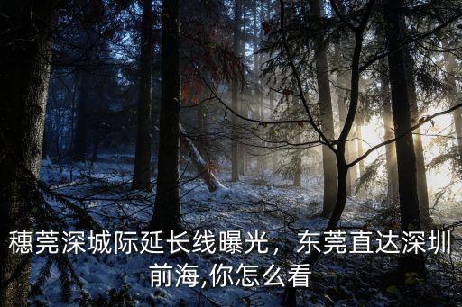 穗莞深城際延長線曝光，東莞直達(dá)深圳前海,你怎么看