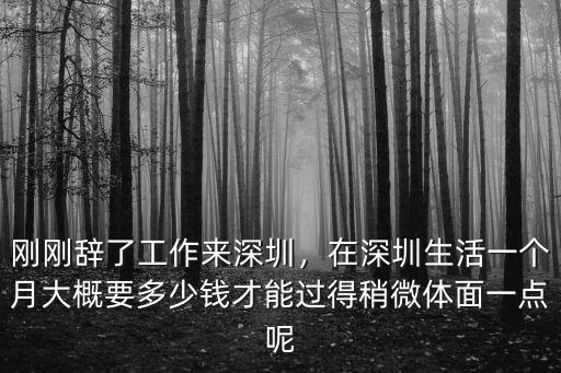 深圳一個人生活要多少錢,在深圳一個人