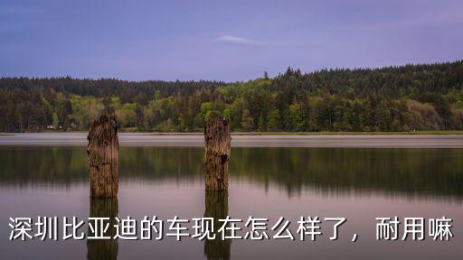 深圳比亞迪車質量怎么樣,為什么深圳比亞迪的車這么多