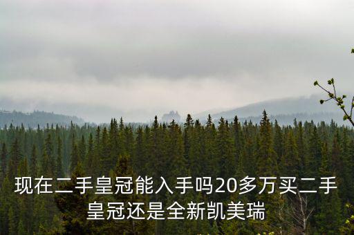 廣州怎么買二手皇冠,二手皇冠怎么樣