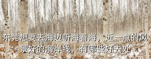 東莞去哪里的海邊游泳最近,東莞想要去海邊聽(tīng)海看海