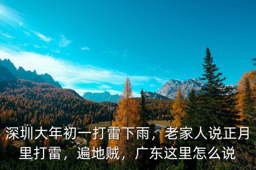 深圳大年初一打雷下雨，老家人說正月里打雷，遍地賊，廣東這里怎么說