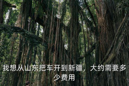 從山東到貴州大車多少錢,大概要花多少錢