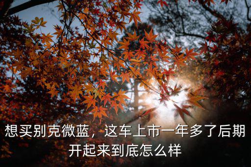 想買別克微藍，這車上市一年多了后期開起來到底怎么樣