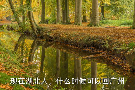 廣東人現(xiàn)在在湖北怎么回廣東,現(xiàn)在困在湖北