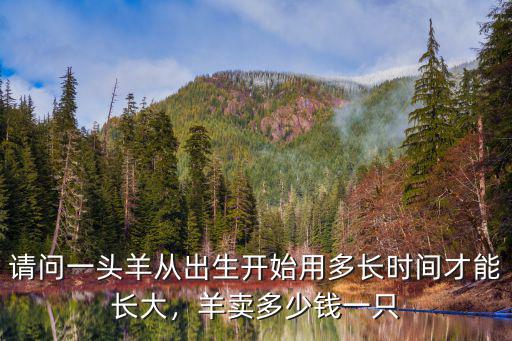 請問一頭羊從出生開始用多長時間才能長大，羊賣多少錢一只