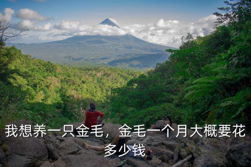 我想養一只金毛，金毛一個月大概要花多少錢