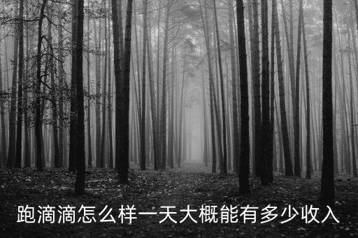 跑滴滴怎么樣一天大概能有多少收入