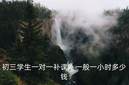初三學生一對一補課，一般一小時多少錢